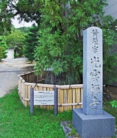 光雲寺　高取町　黄檗宗　光雲寺石碑　厄除け杉