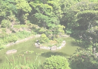 光雲寺_方丈庭園