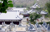 光雲寺_墓地全景